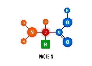 Beyaz zemin üzerinde protein kimyasal formülü molekülü
