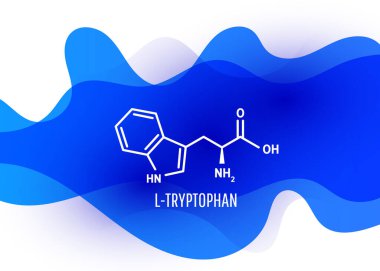 Tryptophan iskelet formülü ve sıvı sıvı içerikli yapı mavi arkaplan şeklindedir. Vektör illüstrasyonu