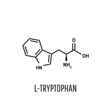 Tryptophan iskelet formülü ve yapısı. Beyaz arkaplanda vektör illüstrasyonu