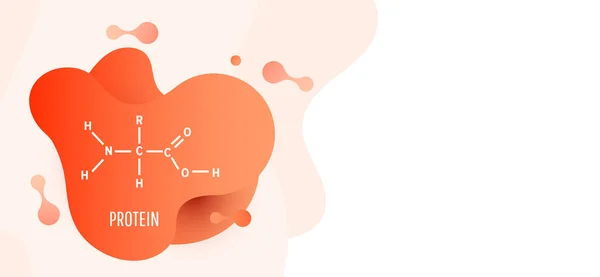 Proteína. Fórmula química estructural y modelo de moléculas sobre fondo líquido de color naranja. Ilustración vectorial — Vector de stock