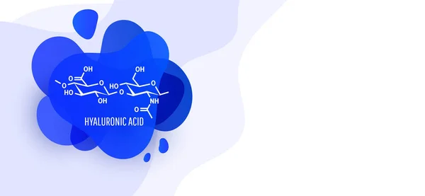 Estructura molecular de ácido hialurónico con formas de líquido sobre fondo blanco. Ilustración vectorial — Vector de stock