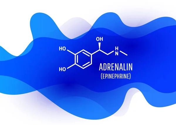 Adrenalin chemický vzorec s tekutými tvary tekutin na bílém pozadí — Stockový vektor