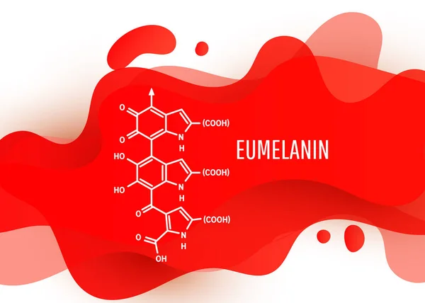 Eumelanin Chemische Molekülstruktur Mit Einer Roten Flüssigkeitsgradienten Form Mit Kopierraum — Stockvektor