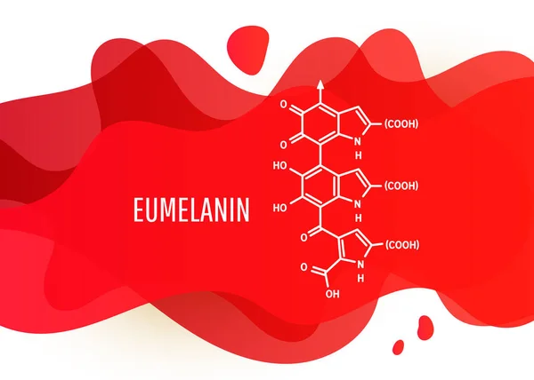 Eumelanin Chemische Molekülstruktur Mit Einer Roten Flüssigkeitsgradienten Form Mit Kopierraum — Stockvektor