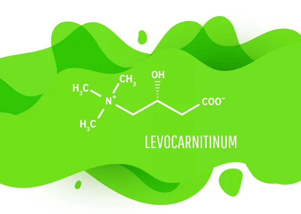 Levocarnitinum Δομικός Χημικός Τύπος Πράσινο Υγρό Σχήμα Κλίσης Υγρό Αντίγραφο — Διανυσματικό Αρχείο