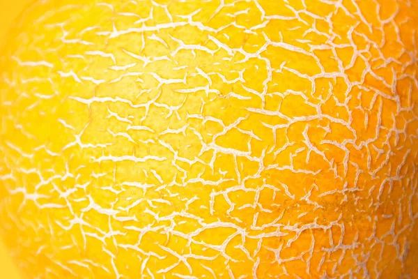 Close Fresh Muskmelon Pattern Summer Fruit Concept — Stock fotografie