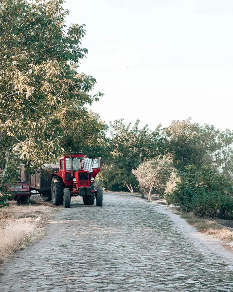Red tractor stands by the road in the countryside. A man with a foot stands near a tractor