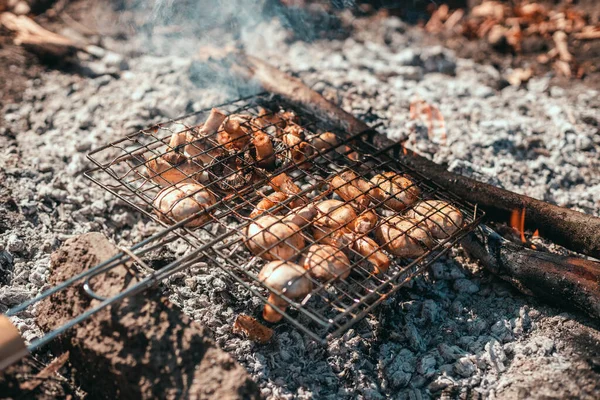 Izgarada Mantar Pişirmeyi Kapat Şampiyon Beyaz Mantarlar Izgarada Mangalda Kızartılır — Stok fotoğraf