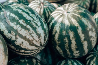 Piyasada büyük olgun karpuzlar.