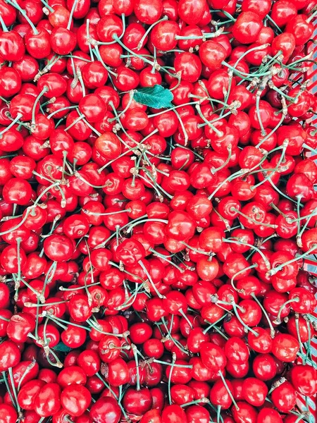 Maturare rosso ciliegie modello di sfondo — Foto Stock