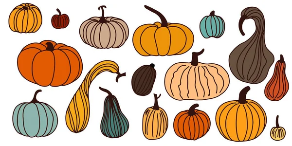 Color Line Pumpkins Different Sizes Isolated White Background Flat Lay — Stock Vector