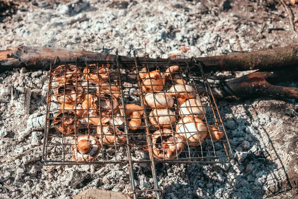 Champignons Auf Dem Grill Aus Nächster Nähe Kochen Champignon Weiße — Stockfoto