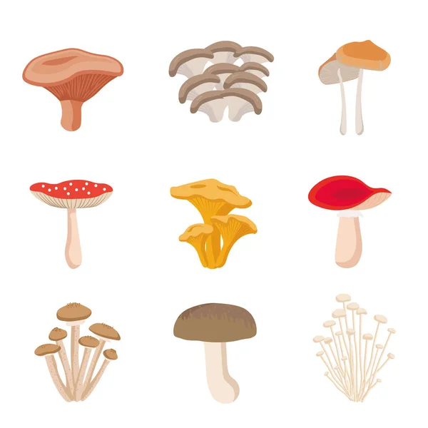 Mantar vektör koleksiyonu