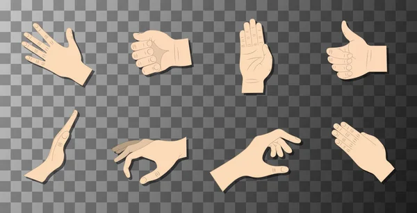 Hand gestures in different positions. — Stock Vector