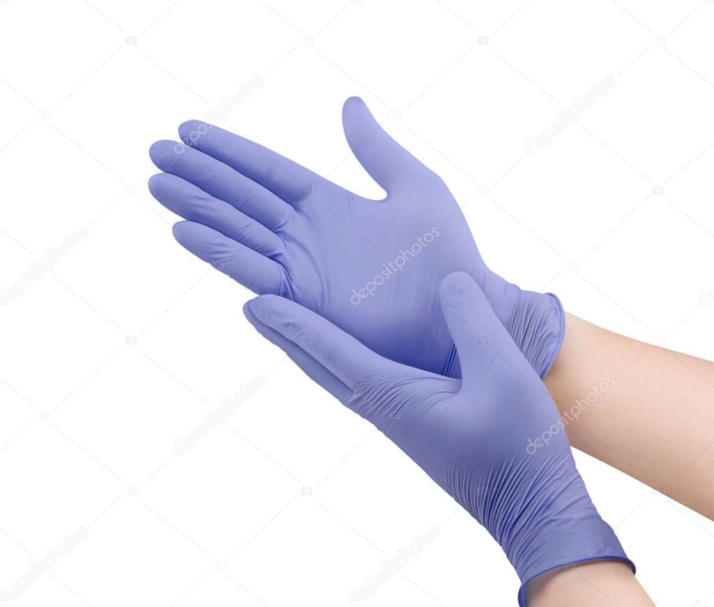 Two purple surgical medical gloves isolated on white background with hands. Rubber glove manufacturing, human hand is wearing a latex glove. Doctor or nurse putting on nitrile protective gloves