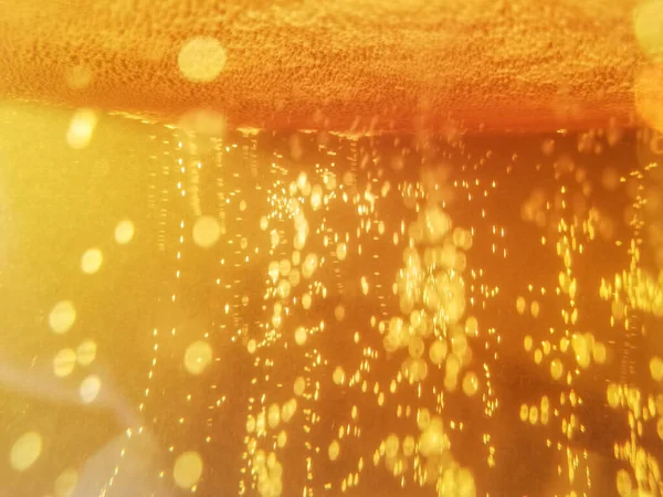 Doğanın makro fotoğrafçılığı bir bardak biranın içinde. Altın kabarcıklar. 