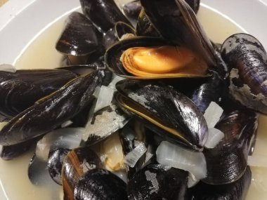 Yakın planda Belçika yosunları