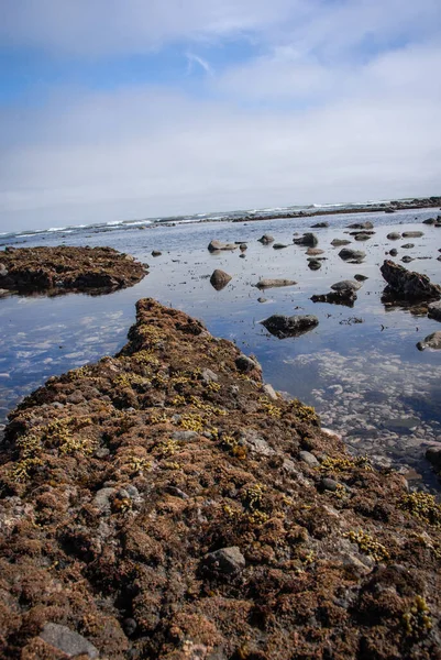 Marknivå Vid Lågvatten Etretat Normandie Frankrike — Stockfoto