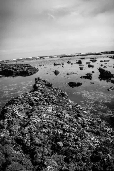 Ground Level Low Tide Etretat Normandy France — Stock Photo, Image