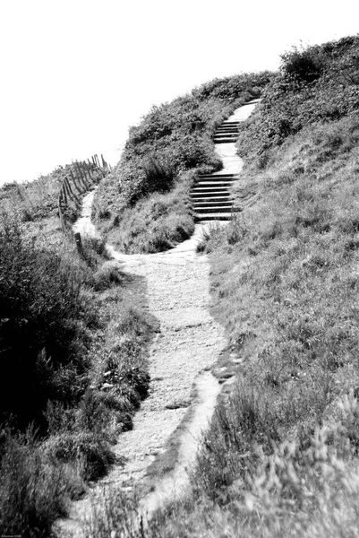 Wanderweg Zur Besteigung Der Klippen Von Etretat Normandie Frankreich lizenzfreie Stockbilder