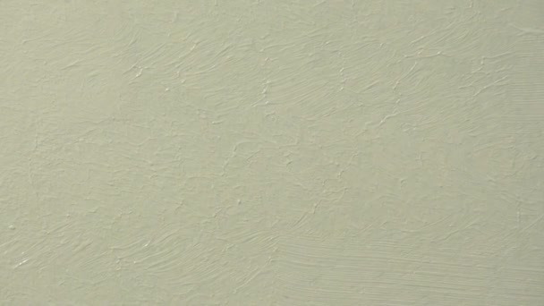 Pensel måla väggen med vit färg, bygg och inredning — Stockvideo