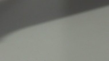 Masanın üzerinde eski yeşil sünger