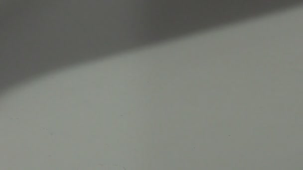 rotation du cure-dent dans les mains, compte tenu 