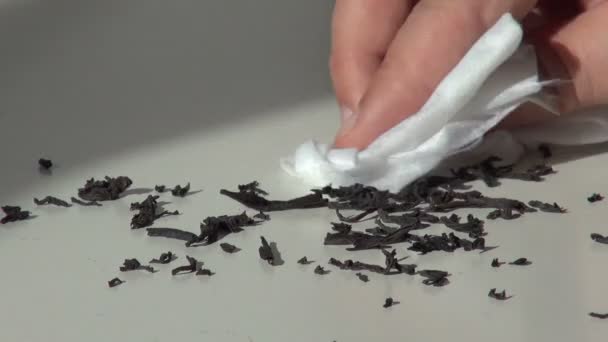 Разбросанный черный чай снимается со стола салфеткой — стоковое видео