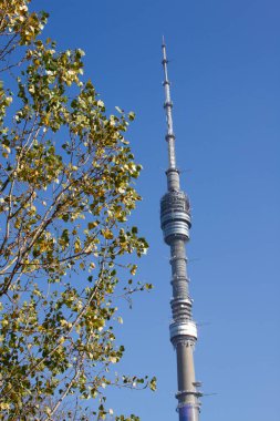 Ostankino televizyon kulesi ve sonbahar ağacı. Moscow, Rusya Federasyonu