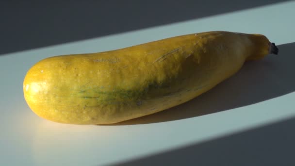 Gele courgette fruit — Stockvideo