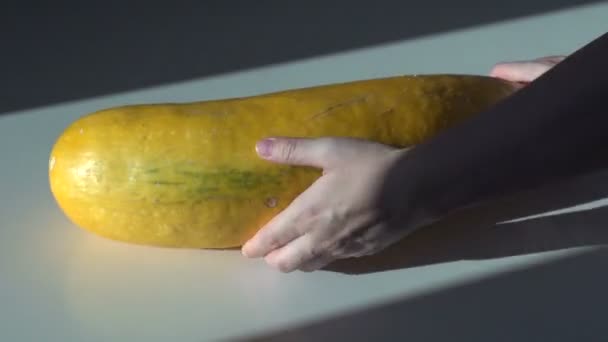 Gul zucchini frukt — Stockvideo