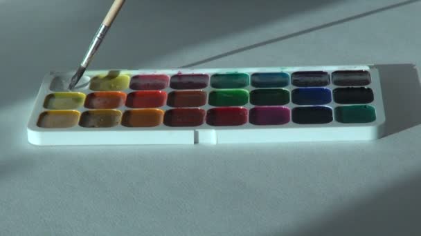 Weiße Farbe. Künstler arbeitet mit Pinsel und Aquarellfarben — Stockvideo