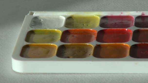 Weiße Farbe. Nahaufnahme. Künstler arbeitet mit Pinsel und Aquarell — Stockvideo