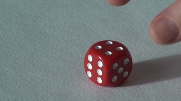 Τέσσερις 4 κόκκινο κόκαλο ζάρια επιτραπέζιο παιχνίδι. επιλογή καζίνο — Αρχείο Βίντεο
