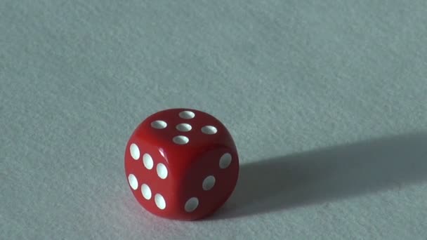 Cinque 5 osso rosso dadi gioco da tavolo. scelta del casinò — Video Stock