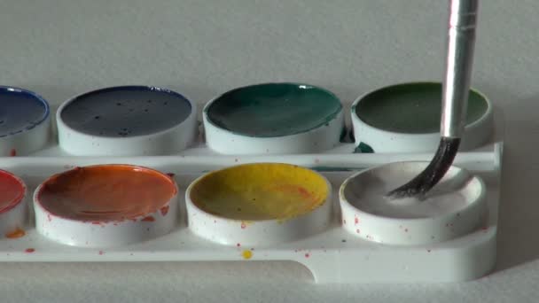 Cor branca. Dunk escova. conjunto de tintas aquarela redonda — Vídeo de Stock