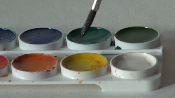 Green color. brush dunk. round watercolor paints set — Stock Video