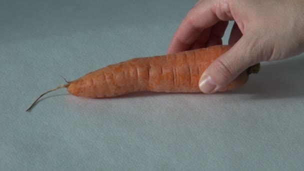 Producto de granja de zanahoria, deliciosa comida vegetariana natural — Vídeo de stock