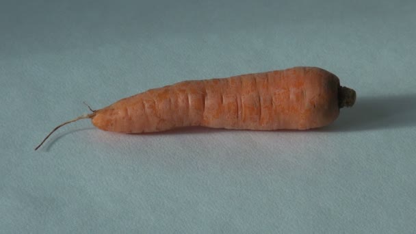 Prodotto carota fattoria, delizioso cibo vegetariano naturale — Video Stock