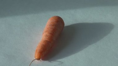 Tarım ürünleri. Yumurta havuç pancar soğan domates. Tarım vejetaryen yemek