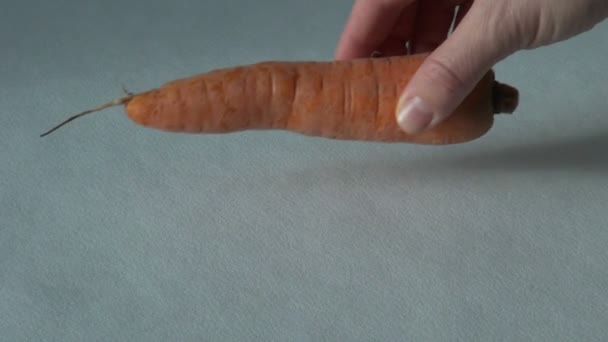 Продукт морквяної ферми, смачна натуральна вегетаріанська їжа — стокове відео