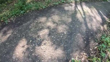 Bisikletçi moloz ile bir toprak orman yolda sürmek