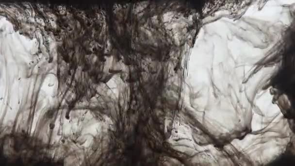 Schwarze Tuschfarbe im Wasser, entspannter Hintergrund — Stockvideo