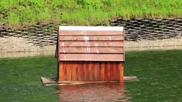 Casa galleggiante per uccelli acquatici sullo stagno — Video Stock