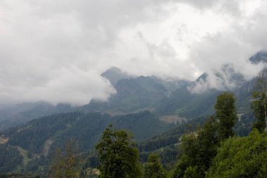 Bulutlu orman dağları, yazın kayak merkezi.