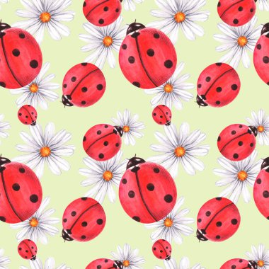 Uğur böcekleriyle suluboya desenli. Papatyaların, yaprakların ve çiy tanelerinin arka planında.