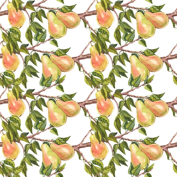 Watercolor Seamless Pattern Pears — Stock Photo, Image