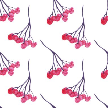 Beyaz arkaplanda viburnum dalları olan kusursuz suluboya deseni.