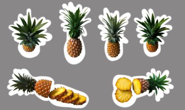 ananas tropikal meyve etiketi seti