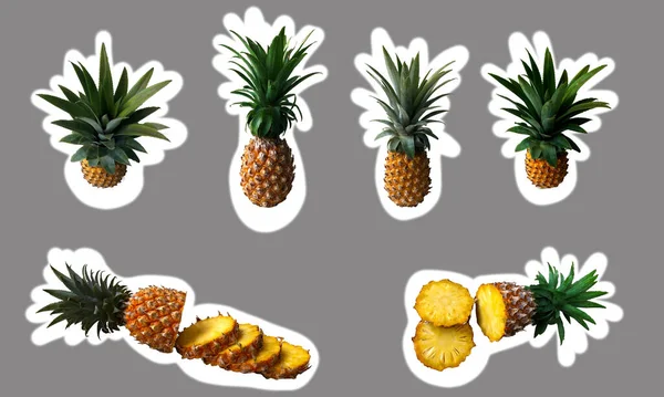 Ananas Tropické Ovoce Nálepka Set — Stock fotografie